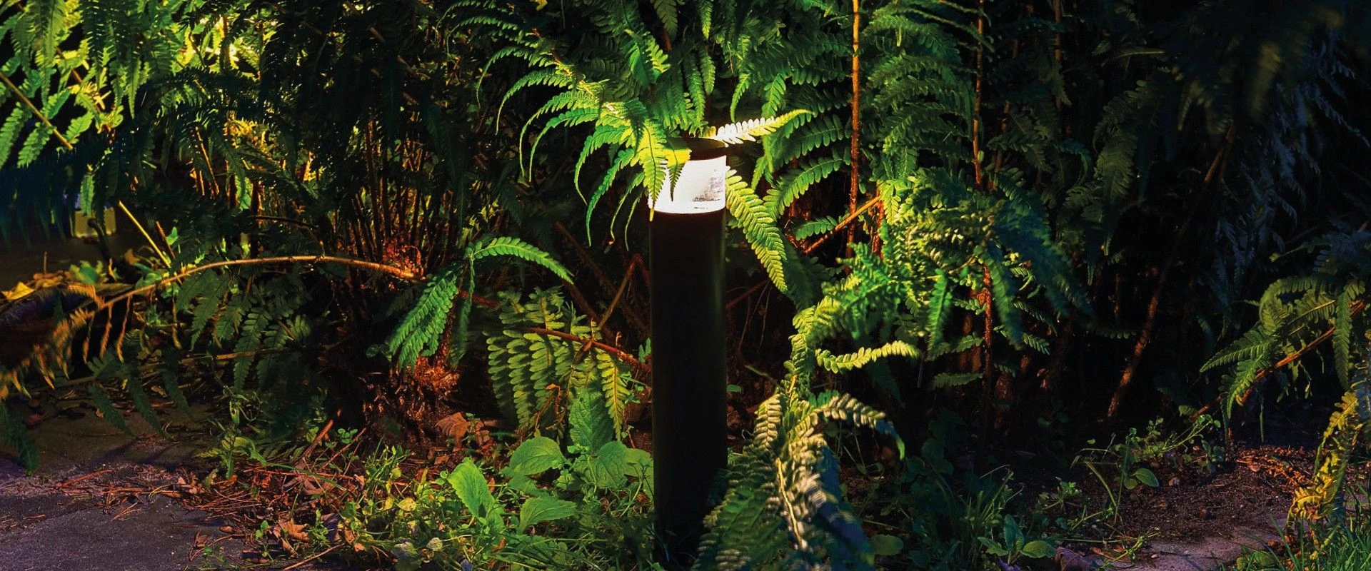 Suslight Sus Sense Black 2.5W 24V - Afbeelding 5